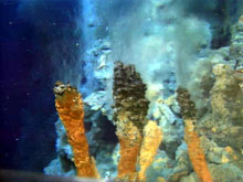 Three small (~30 cm tall) actively venting spires sitting on top of one of the chimneys in the Black Forest vent field.