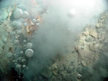 Close-up of droplets at the Champagne vent site.