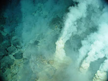 White chimneys at Champagne vent site, NW Eifuku volcano.