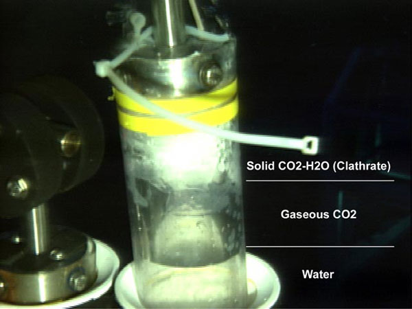 An experiment to observe the change in phase of the droplets collected at Champagne vent site.