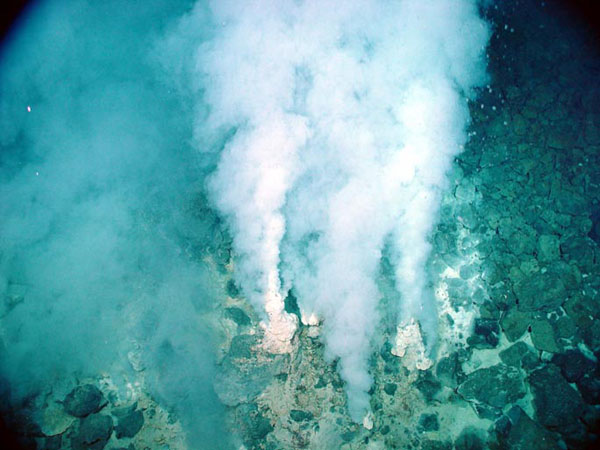 These microbial mats are similar in composition to those as seen at the Yellow Top Vent site.