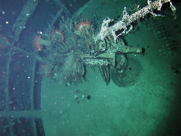 20mm deck gun on U-166