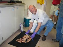 Lance Arnold assists with coral specimens.