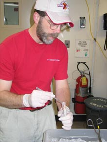 Puting coral tissue samples into fixative for DNA studies. 