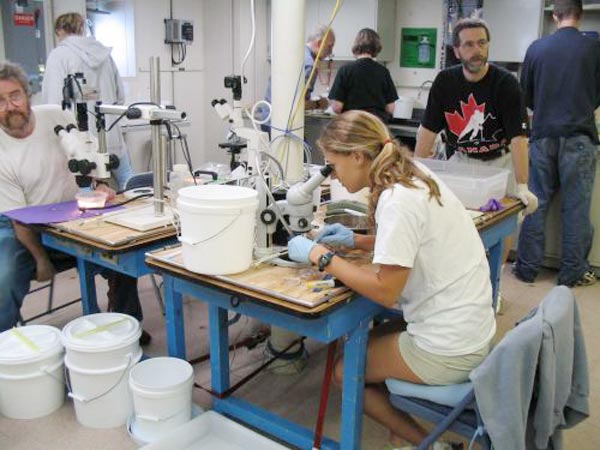 Science team works to process samples.