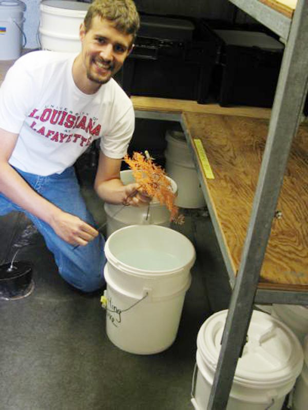 Mercer Brugler proudly displays Iridigorgia. 