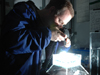 Kevin Raskoff shoots images of Arctic zooplankton in an aquarium in the Healy’s cold room.