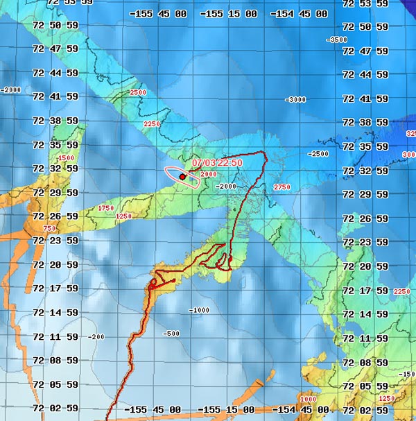 Multibeam image displaying sonar data collected by Healy's data acquisition system.