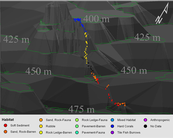 Example of a three-dimensional depiction of changes in habitat