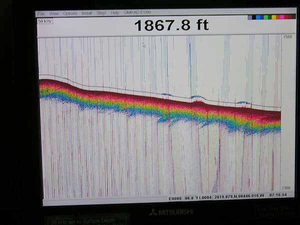 Transect depicting the bottom profile to determine likely submersible dive sites