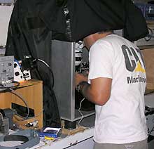 A copepod being prepared for an electrophysiological experiment