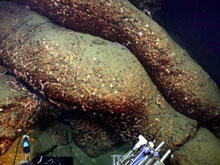 Spectacular tubes of lava covered in limpets wind their way down the slopes of the volcanic ridge.