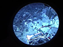 View out the porthole of Pisces V as it samples hydrothermal vent fluid from a seafloor hotspring at Monowai volcano.