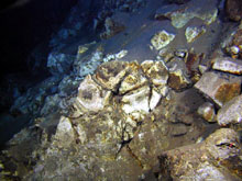 Rocks that have been totally altered by hot (hydrothermal) fluids.