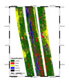 The same sidescan image that has been converted from processed sidescan data to be classified by lava morphology type.