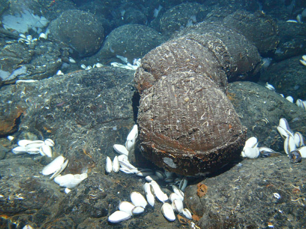 Submarine eruptions at mid-ocean ridges produce fresh lava flows like these "pillow" lavas, which form as lava slowly oozes out of a fissure on the sea floor.