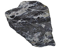 Deformed Gabbro