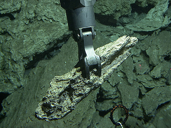 Claw on Alvin sampling carbonate at Lost City