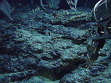 This illustration shows the Pacific plate in the east colliding with the Australian plate in the west.