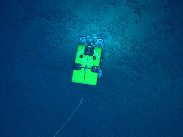 A shot of ROV Hercules from ROV Argus.