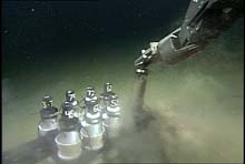 ROV Tiburon collecting a push core. 