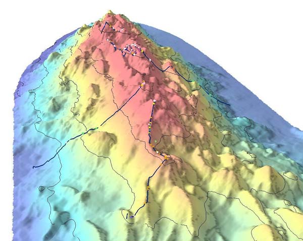 ROV <em>Tiburon </em> tracklines of the 2002 expedition to Davidson Seamount, with coral locations.