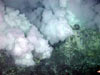 Small chimneys on the seafloor of Nikko caldera venting smoke that often impedes visibility.