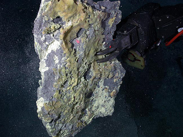 Jason holds up a large piece of sulfur crust that was sampled at Daikoku