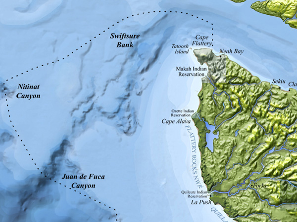 Map of known deep coral occurrences in and around Olympic Coast National Marine Sanctuary