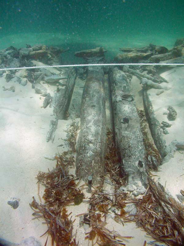 Three frames exposed after removing a meter of sand overburden.