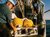 A RopeCam (from an earlier mission) is ready to be launched over the side of the ship.