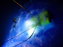 Fig. 1. The ROV rescue party watches Nick Caloyianis hook the disabled
      ROV onto the winch wire so that it can be hoisted onto the deck.