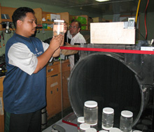 Fig. 2. Joseph Rayos, watched by Mike Cole, examines a collection jar
      brought back by the bluewater divers.