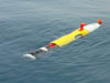 The REMUS AUV, helped clear the Iraqi port Umm Qasr in 2003, the first successful wartime deployment of an autonomous underwater vehicle.