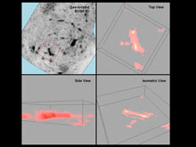 BOSS data from one of the cannon-like objects, processed into a voxel or three dimensional model, suggest the target has a long cylindrical shape.