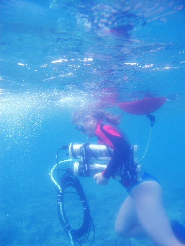 The data loggers collect and record the temperature data from the BOA array and are connected to a float that maintains the upward position of the array.