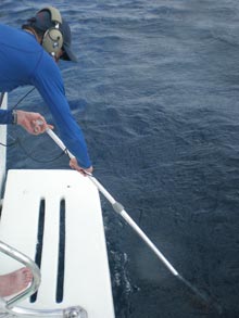 Bernard demonstrating the use of the acoustic pinger.