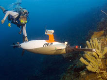 The Fetch1 AUV and one of its developers pass by a large clump of the sponge Callyspongia vaginalis.