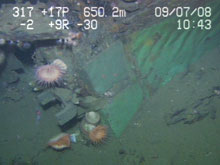 Gudgeon and pintle attached to the sternpost of the Ewing Banks Wreck.  The Gudgeon and pintle once secured the rudder to the sternpost. The rudder is no longer attached.