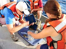 Extracting soil samples from the sample bucket.