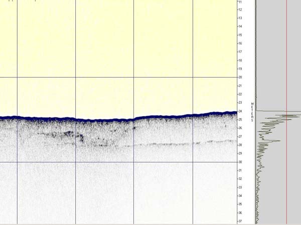 Sub-bottom profile image of presumed karstic features at approximately 28:33.1943N and 84:46.9628W.