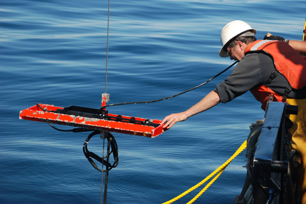 Out near the Isolated Sinkhole, Nathan Hawley recovers a transmissometer (measures turbidity) from a previously deployed tripod. 