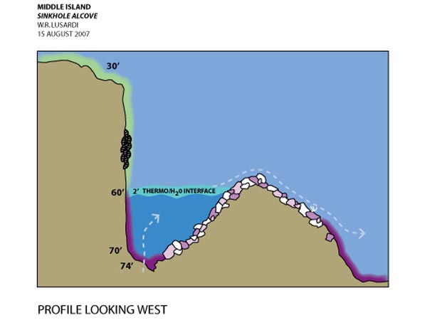 The sinkhole ecosystems are in a class not only with Antarctic lakes, but also with deep-sea, hydrothermal vents and cold seeps.