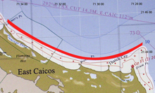 The 2008 Survey area from the reef seaward to a depth of 40 feet from Lorimer's Point to Drum Point.