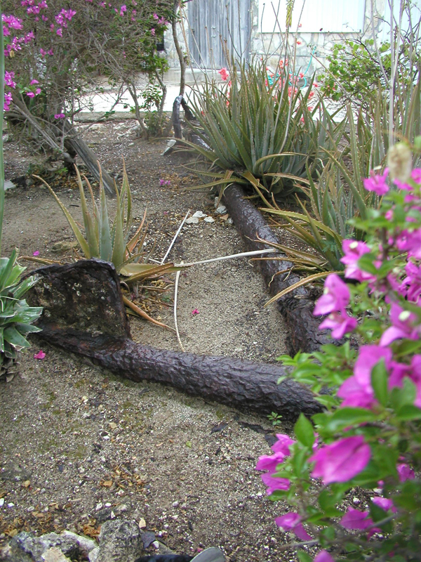 A large wooden-stock 19th-century anchor salvaged from the Northwest Reef area in the early 1970s.