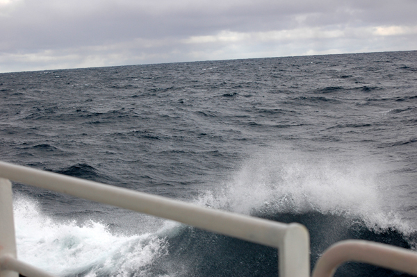 For our second full day at sea, we encountered a swell of about 6-8 feet. Compounding seasickness, the ship had to sit sideways to the waves at times to deploy scientific instruments, in a position known as 'wallowing in the trough.'