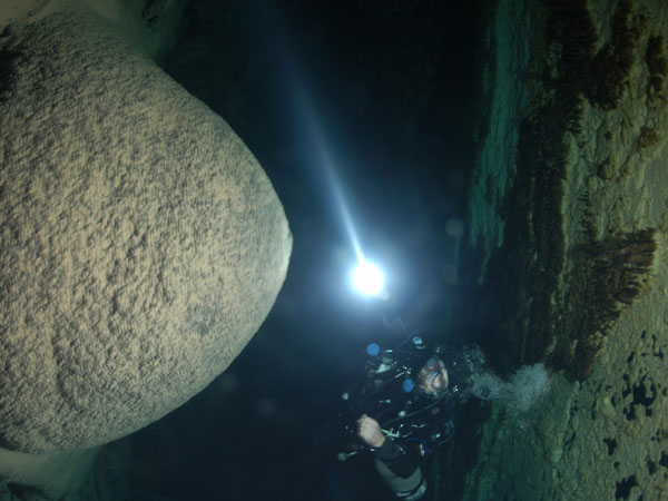 View a slide show of some of the Bahamas' deep-sea corals, and marine life.