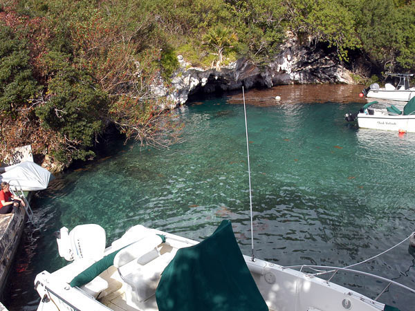 The submerged entrance to Green Bay Cave (top center), the longest known cave in Bermuda, is located at the end of a small bay off Harrington Sound.  Photo credit: Tamara Thomsen.