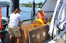 crew lifting Towfish