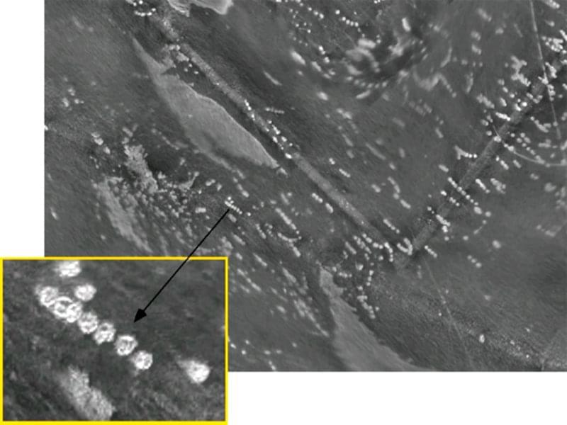 These piles dot the northern half of Thunder Bay near Alpena. Each circle is roughly 15 meters (49 feet) in diameter and some contain lumps of coal.